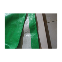 Tente de bâche PE imperméable bon marché Poly Tarps tissu de pluie avec longue durée de vie et protection UV