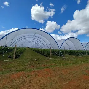 农业invernadero de fresa商用黑莓蓝莓毛毛虫多隧道温室覆盆子金属框架