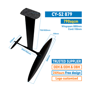 Hidroala de aluminio y carbono para deportes acuáticos, <span class=keywords><strong>cometa</strong></span> inflable, tabla de SUP de <span class=keywords><strong>Surf</strong></span> <span class=keywords><strong>con</strong></span> batería de 48V, equipo de esquí acuático, accesorio de bolsa - Product Image 6