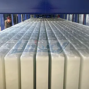 Blocke is anlage in Malaysia Eismaschine Preis 25 Tonnen Eismaschine
