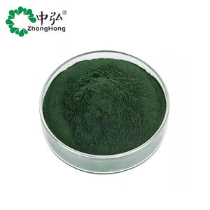 Poudre de Nannochloropsis de qualité alimentaire Phytoplancton marin Gadatania cultivé à l'état sauvage dans un emballage en tambour - Product Image 3