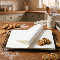 Feuilles de papier sulfurisé en silicone prédécoupées, antiadhésives, imperméables, résistantes à la graisse, de qualité supérieure, non blanchies, pour la cuisson et la cuisine