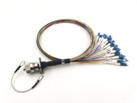 Connecteur circulaire à 12 cœurs FTTA IP67 J599 MT, étanche pour extérieur, avec fiche et prise, pour câble de raccordement à fibre optique, directement de l'usine
