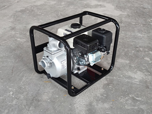 Mini <span class=keywords><strong>pompe</strong></span> à eau à <span class=keywords><strong>essence</strong></span> de 2 pouces, modèle WP20 5HP basse pression pour irrigation et surpression, personnalisable OEM - Product Image 5
