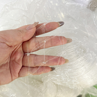 China's <strong>Best</strong>-<strong>Selling</strong> High-Strength Foldable Tear-Resistant PA6 Monofilament Fishing Net for Saltwater and Freshwater Environment