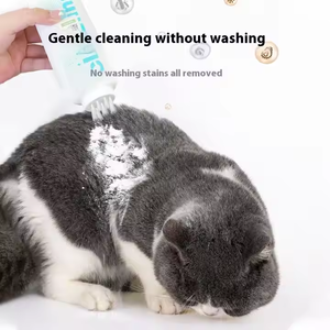 Champú <span class=keywords><strong>seco</strong></span> sin agua a base de plantas de etiqueta privada para perros y gatos, producto de limpieza y aseo corporal blanqueador de espuma para mascotas - Product Image 3