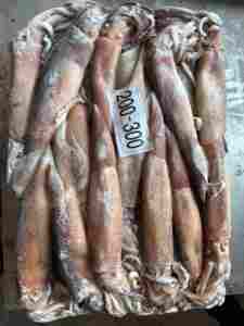 Assurance qualité Vente en gros Calmar <span class=keywords><strong>Illex</strong></span> Argentin congelé Calmar séché rond entier - Product Image 3