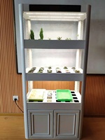 Planteur de légumes d'intérieur, système hydroponique Vertical