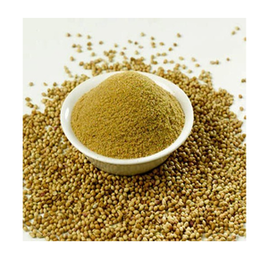 ผงสกัดจากต้นผักชีบริสุทธิ์ (Coriandrum Sativum) แบบพ่นแห้งและอบแห้งในถาด ผู้ผลิตผงพืชสมุนไพรขั้นสูง - Product Image 2