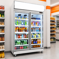Affichage refroidisseur 2 verre AluminumBeverage Réfrigérateur Contrôle numérique Dégivrage automatique