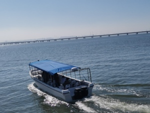 <span class=keywords><strong>Barco</strong></span> Panga <span class=keywords><strong>de</strong></span> FRP Grandsea <span class=keywords><strong>de</strong></span> 35 pies/11 m, <span class=keywords><strong>Pequeño</strong></span> <span class=keywords><strong>Barco</strong></span> <span class=keywords><strong>de</strong></span> Pasajeros, Embarcación <span class=keywords><strong>de</strong></span> Transporte <span class=keywords><strong>de</strong></span> <span class=keywords><strong>Carga</strong></span> en Venta - Product Image 6