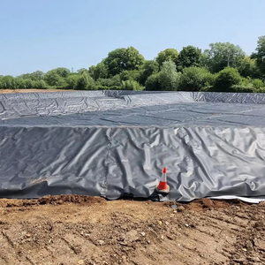 Géomembrane en HDPE résistante à la corrosion et imperméable, revêtement de barrage de déchets miniers, lagune minière - Product Image 1