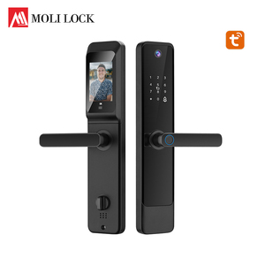 Bán buôn sản phẩm mới an toàn cao vân tay điện tử khóa cửa nhà thông minh tuya App Wifi cổng khóa - Product Image 1