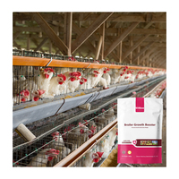 Complément alimentaire pour volaille formule personnalisée promoteur de croissance pour poulets de chair gain de poids meilleur croissance et habitabilité stimuler l'appétit 1KG