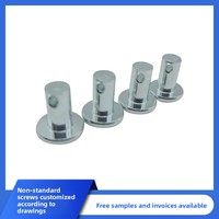 Goupille de positionnement cylindrique en acier inoxydable 304 galvanisé avec tête plate et ronde pour charnière et loquet de porte