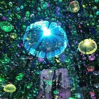 Lampes LED en fibre optique en forme de méduse, étanches IP44, 20 cm et 30 cm, pour créer une ambiance étoilée nocturne, blanc chaud, à intensité variable