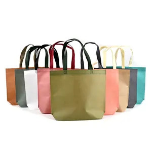 रंगों के लिए कस्टम इको-फ्रेंडली वाटरप्रूफ बायोडिग्रेडेबल ब्लैंक किराना भंडारण पीपी नॉनवॉवन शॉपिंग बैग