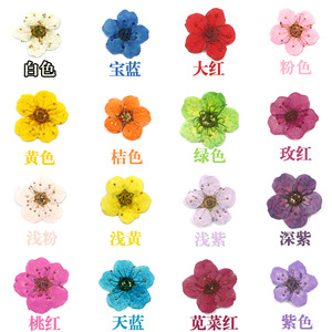 20pcs Natural <b>Dried</b> Flower Nail Stickers 17 Colors Japanese Style 3D Real <b>Petal</b> Decals for DIY Nail Decoration - Product Image 6