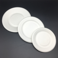 Assiettes à dessert et plats à gâteau en papier jetables pour plateau de dîner de fête