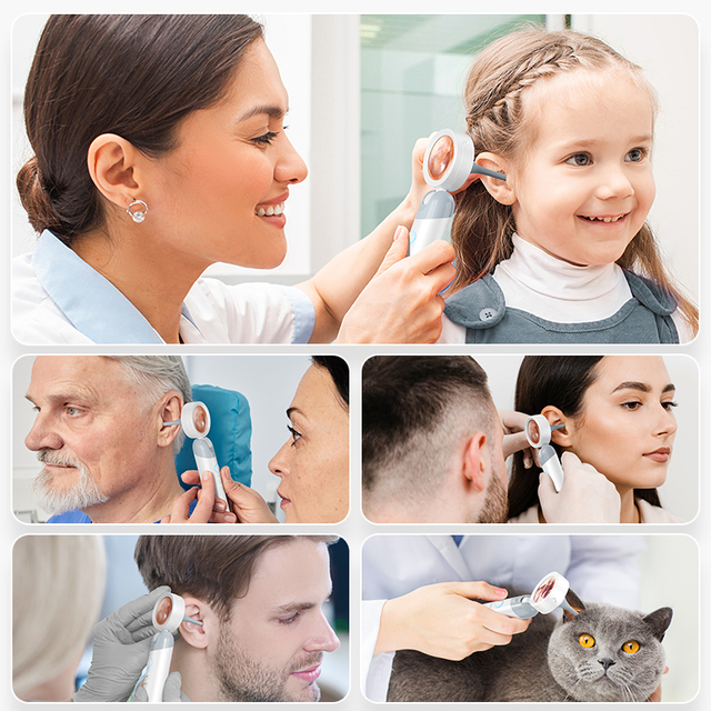 Factory Cleaner Tool 4X Zoom 4LED With 1.38Inch Screen Ear Wax Cleaning Otoscope Video Visual Digital Ear Endoscope Camera