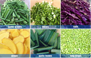 Machine à découper les légumes FC-306D commerciale pour ciboulette feuilles d'ail germes longs haricots oignon vert laitue légume - Product Image 6