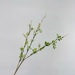 Branches d'herbe artificielle Meng Jie 30cm-100cm en silicone vert pour vase, fleurs pour décor de studio photo et aménagement paysager - Product Image 2