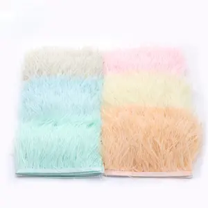 54 Kinds Of Color Stage Costume Accessories 8-10 Cm Ostrich Feather