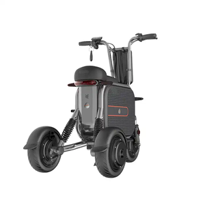 Scooter de movilidad de bicicleta eléctrica de <span class=keywords><strong>3</strong></span> ruedas para adultos 2023 48V con cesta para mascotas y motores sin escobillas de 500W/1000W - Product Image 4