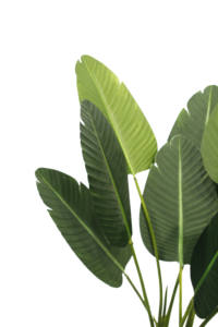 120cm de simulación de las plantas verdes artificial de la PU viajero árbol de banana - Product Image 4