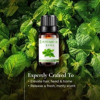 Huile capillaire biologique à la menthe poivrée USDA NOP, répulsif pour souris et écureuils