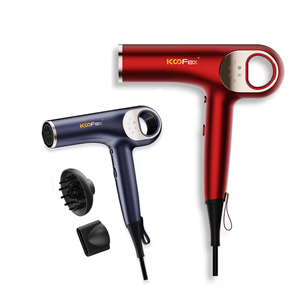 Salone uso domestico 1900W ad alta velocità portatile viaggio Fashional asciugacapelli Brushless risparmiare tempo veloce asciugacapelli all'ingrosso - Product Image 1