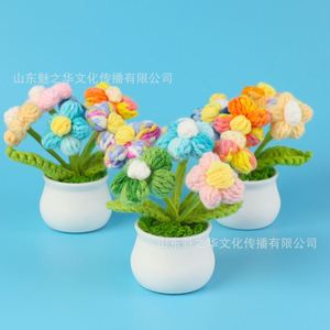 Mini Ramo de Plantas Tejidas a Crochet Hechas a Mano, Decoración para el Hogar y Regalos Populares para San Valentín, Navidad y Halloween - Product Image 3