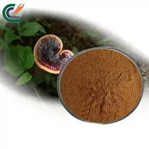 High Quality Ganoderma Lucidum Bulk Spore Extract Powder Reishi Mushroom Extract Powder