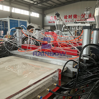 Ligne de production d'extrusion de panneaux muraux Ps Louver faisant la machine