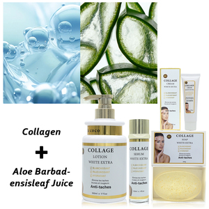 <span class=keywords><strong>Set</strong></span> OEM per la Cura della Pelle con Siero, Sapone, Crema e Lozione al Collagene Organico, Anti-Età e Sbiancante - Product Image 2