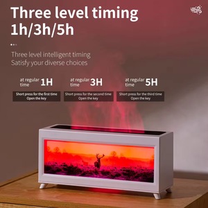 Đầy Màu Sắc Lò Sưởi Độ Ẩm Không Khí Ngọn Lửa Điện Tinh Dầu Khuếch Tán Hương Thơm Xách Tay 220Ml Mô Phỏng Lửa Khuếch Tán Cho Nhà - Product Image 6