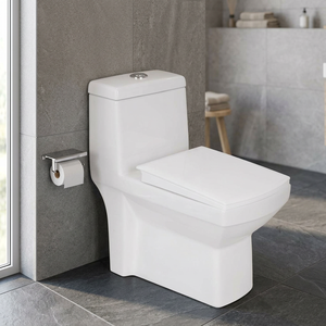 WC monobloc en céramique Vistaar à chasse d'eau par siphon à jet, à poser au sol, pour lavabo - Product Image 5