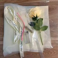 Ballon en forme de rose lumineuse à LED, bouquet artificiel lumineux, ballon transparent en PVC, ballon Bobo, cadeau pour mariage, Saint-Valentin