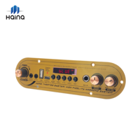 Placa Amplificadora de Potencia para Karaoke de Alta Calidad, 60W, Doble Canal, para Cajas de Altavoces Portátiles DIY