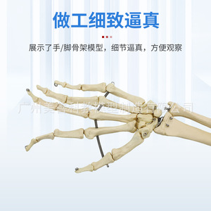 11 - Product Image 2