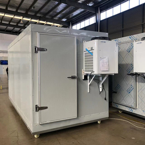 Cámara Frigorífica Móvil Pequeña con Puerta de Vidrio Personalizada y Unidad de Refrigeración Portátil - Product Image 2