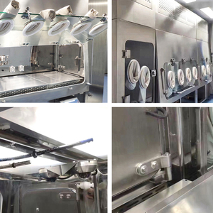 Vente en gros au meilleur prix isolateur d'essai de stérilité isolateur de machine isolateur de pression négative - Product Image 2