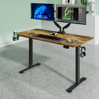 Bureau assis-debout électrique avec rangement, moteur simple, 60 kg, en panneau de particules, ergonomique, moderne, pour bureau à domicile