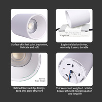 Spot LED encastré en aluminium sur mesure haut de gamme 15W 20W 30W 40W 50W 60W Ra92 à indice d'opacité élevé