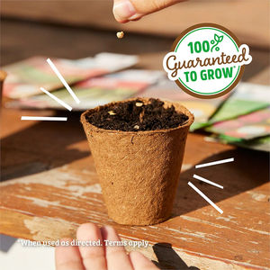 20 sachets d'herbes et de légumes biologiques pour fleurs artificielles, pots et jardinières suspendus écologiques pour la culture à domicile - Product Image 3