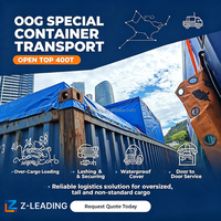 Z-Leading Logistics : Expédition LCL + Express depuis la province du Guangdong, marchandises générales et spéciales, expédition en 2 jours, assurance, assistance 24/7