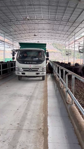 Vagón de descarga TMR, distribuidor de alimento para animales autopropulsado y esparcidor de alimento, máquina dispensadora de alimento para ganado móvil - Product Image 2