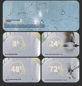 Phoenix Lion autolivellante <span class=keywords><strong>vernice</strong></span> <span class=keywords><strong>per</strong></span> pavimenti in sabbia epossidica facile da applicare con <span class=keywords><strong>vernice</strong></span> artistica <span class=keywords><strong>per</strong></span> effetto pavimento in <span class=keywords><strong>marmo</strong></span> e cemento - Product Image 6