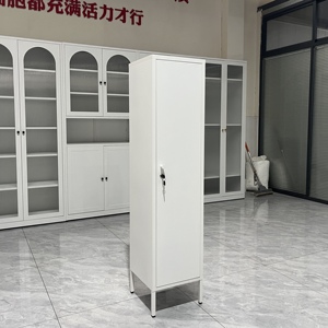 Diskon besar kabinet penyimpanan baja loker pintu tunggal 1 warna-warni baru untuk ruang tamu Modern Tallboy Steel Locke untuk bengkel kamar tidur - Product Image 1
