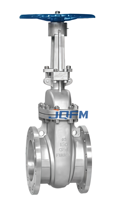 Vanne à opercule pleine à cale manuelle, électrique et hydraulique en acier inoxydable WCB CF8, à souder par emboîtement, PN16-PN160 pour pipeline pétrolier et gazier
